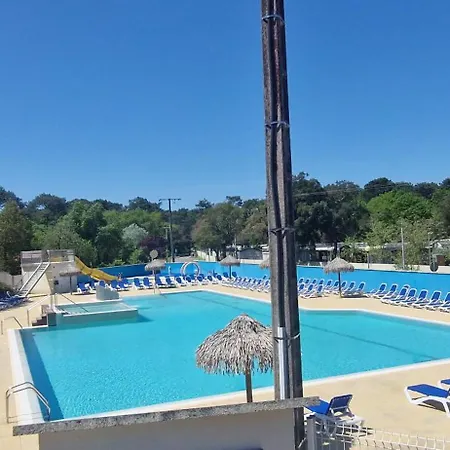 Cap'ocean * קפברטון